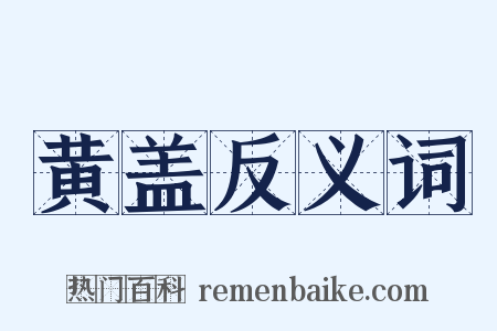 黄盖反义词是什么意思的图片